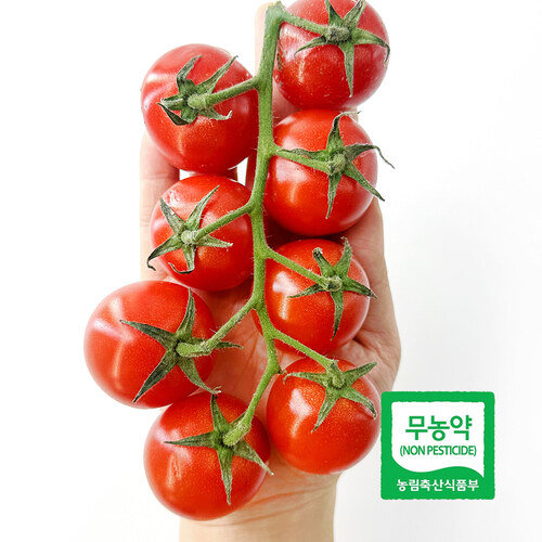 [당찬] 무농약 국산 송이 방울토마토 1.4kg 산지직송